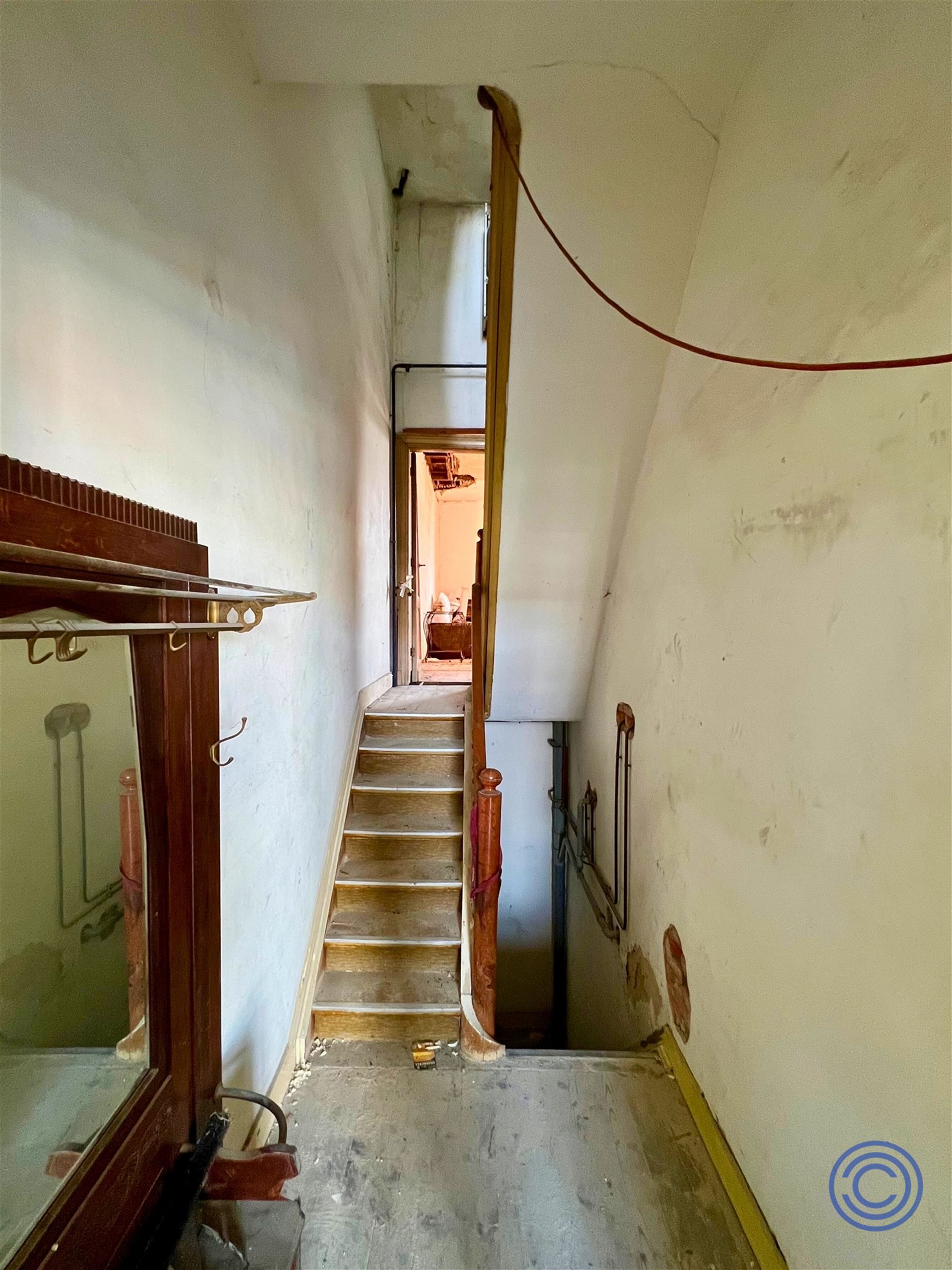 VERGUND RENOVATIEPROJECT aan station BERCHEM! foto 7