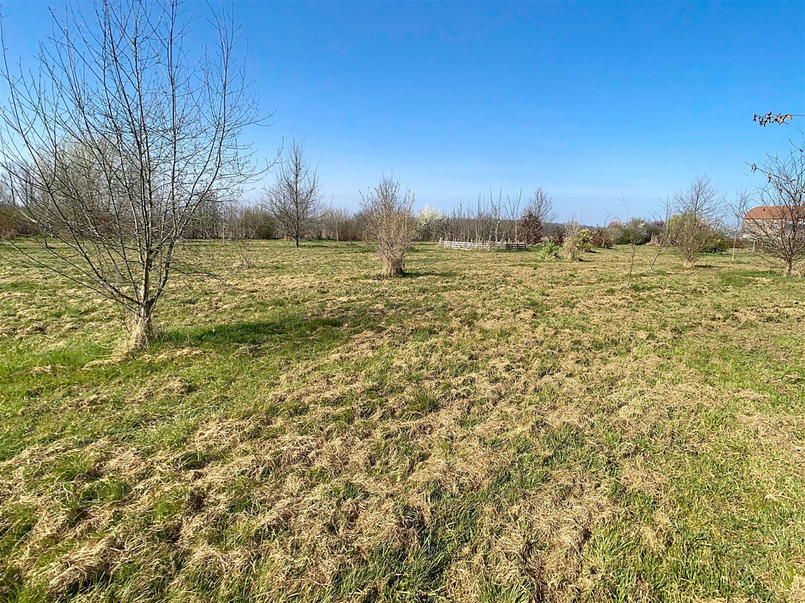 Charmante woning, 3 slpks, garage, weides, 1h 23a 72ca foto 37