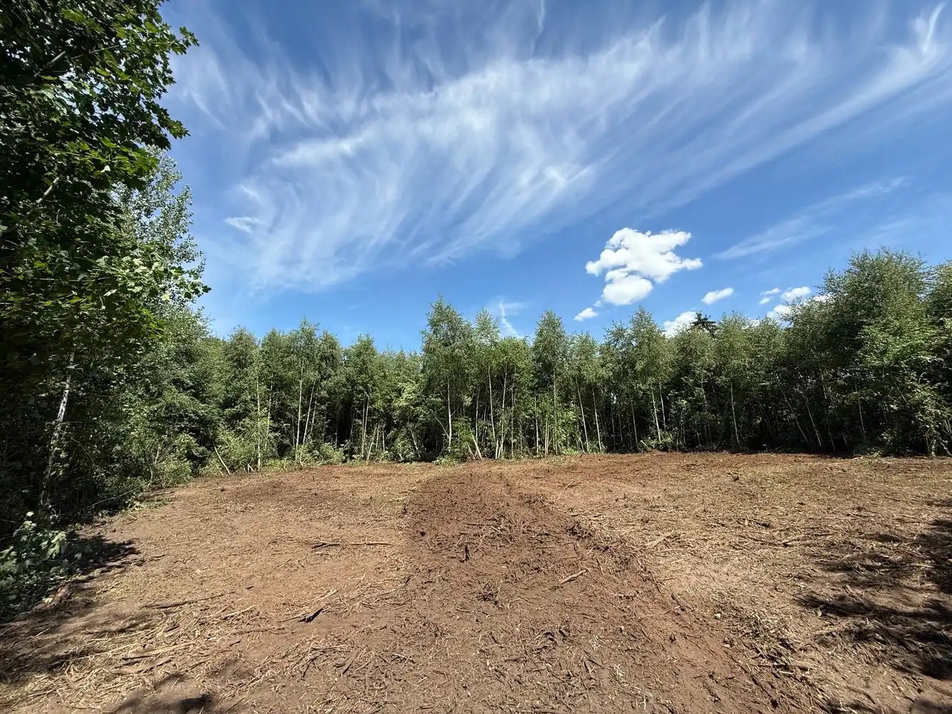 Riante bouwgrond van ca. 4.011m2 op de Heide foto 5