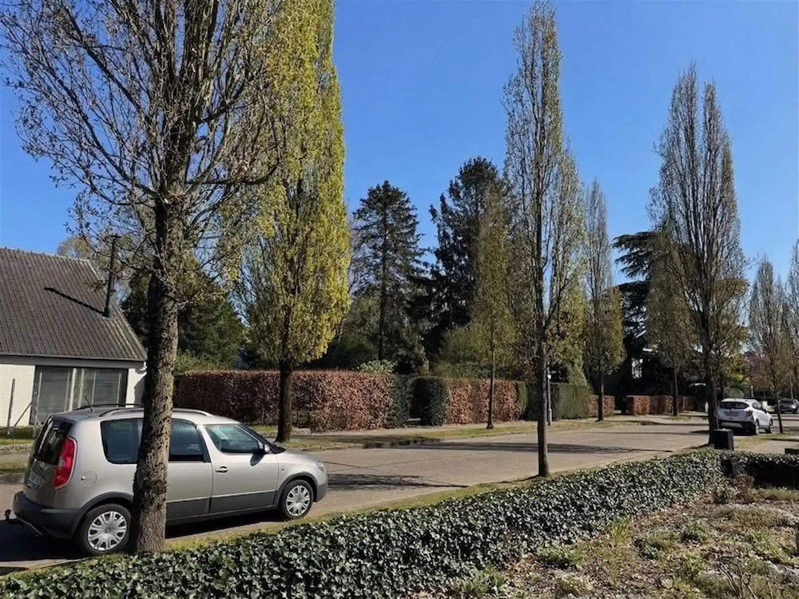 Stijlvolle nieuwbouwvilla op ruim perceel in groene Sint-Lucaswijk  foto 9