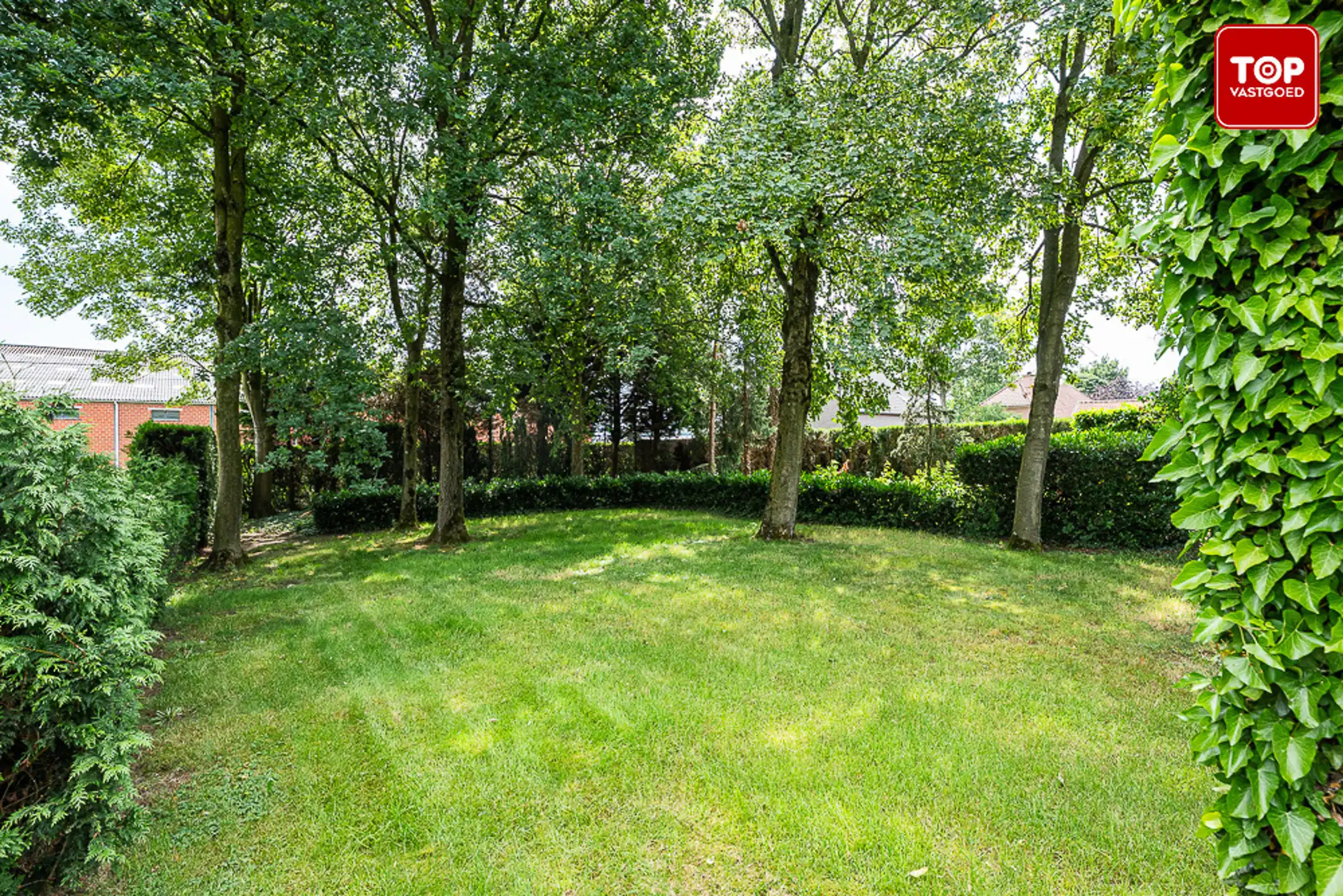 Huis te koop foto 8