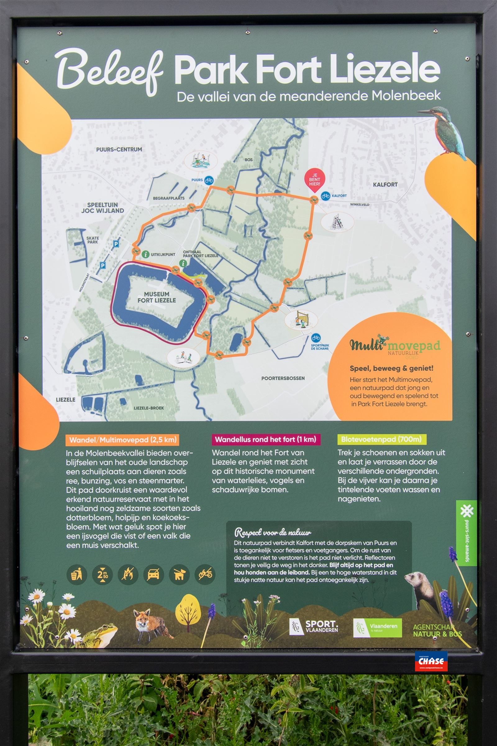 PRACHTIG LANDHUIS MET PRAKTIJKMOGELIJKHEDEN EN ZWEMBAD OP EEN TOTALE OPPERVLAKTE VAN 10a 50ca  foto 40