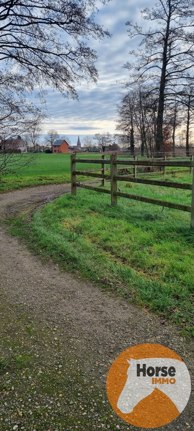 BILZEN-HOESELT - Weide met schuilstal op +/- 83a foto 4