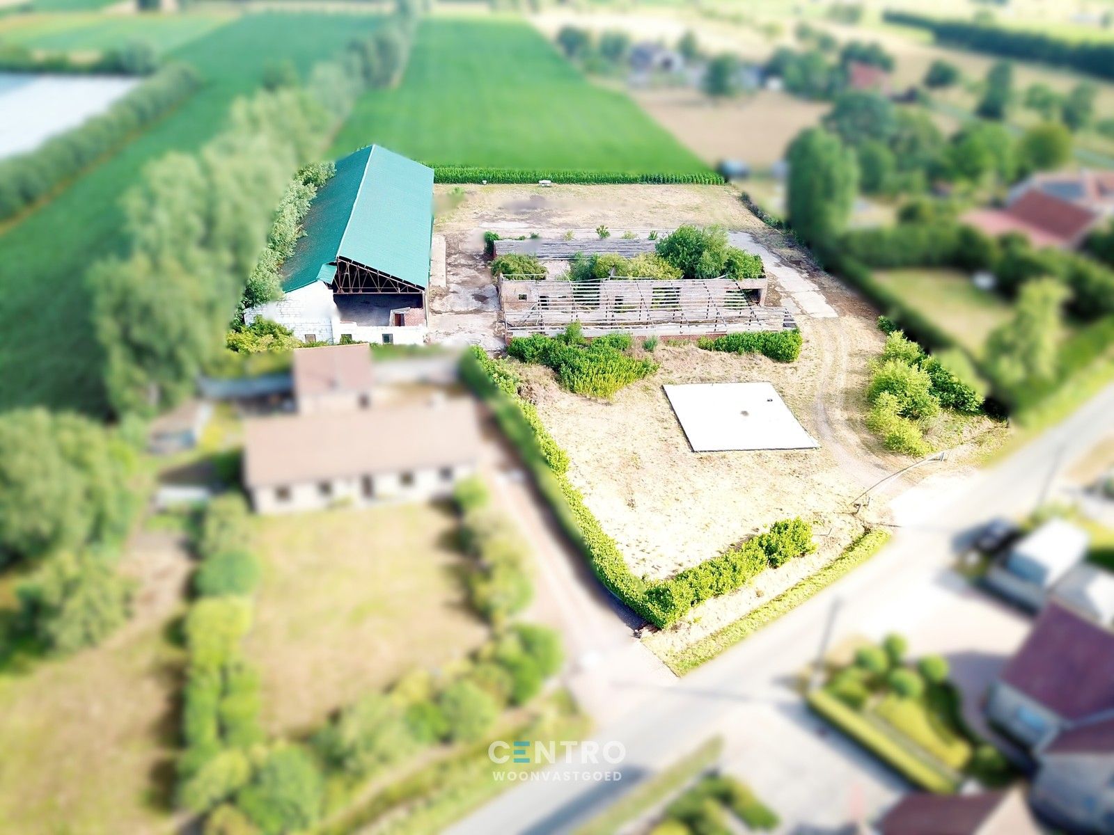 Te renoveren hoeve te Damme op circa 6.850m2! foto 2