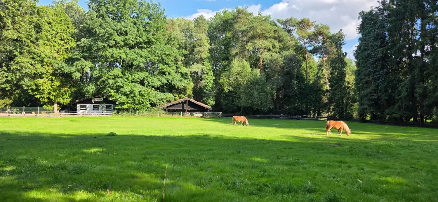 Uniek gelegen vrijstaande gezinswoning met 3 slaapkamers midden in de natuur op een perceel van 54 are in As centrum! foto 56