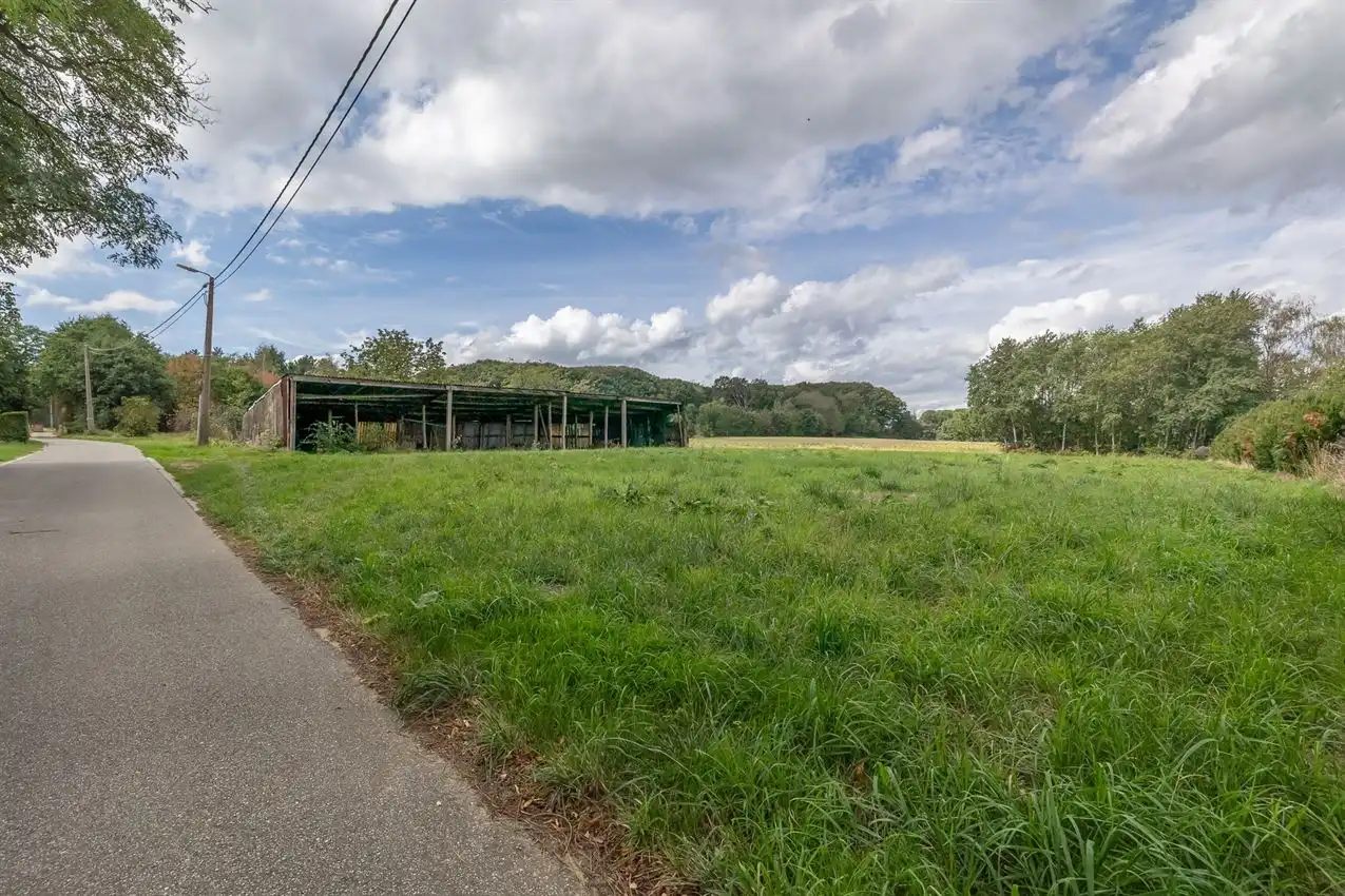 Te renoveren boerderij met 2 weides (45a en 21a) en ruime hangaar foto 32