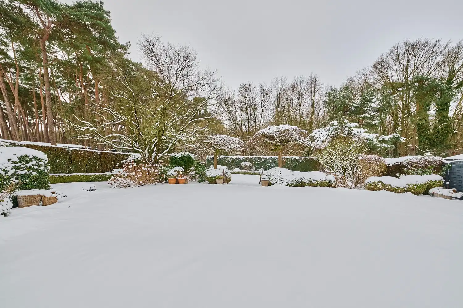 Knap gerenoveerde woning op ruim perceel in een bosrijke omgeving te Beringen. foto 22