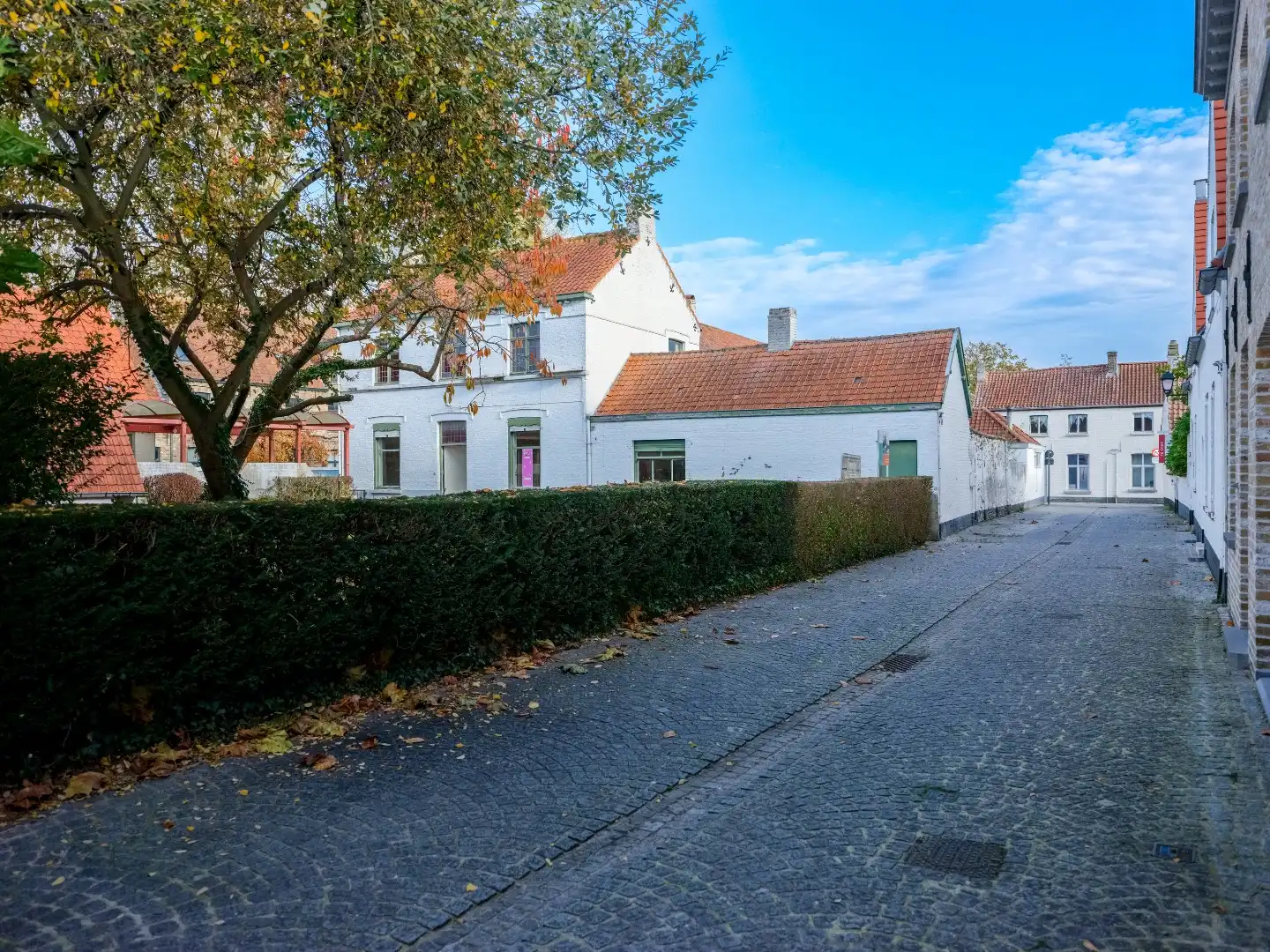 Bijzondere woning met potentieel in Damme centrum  foto 14