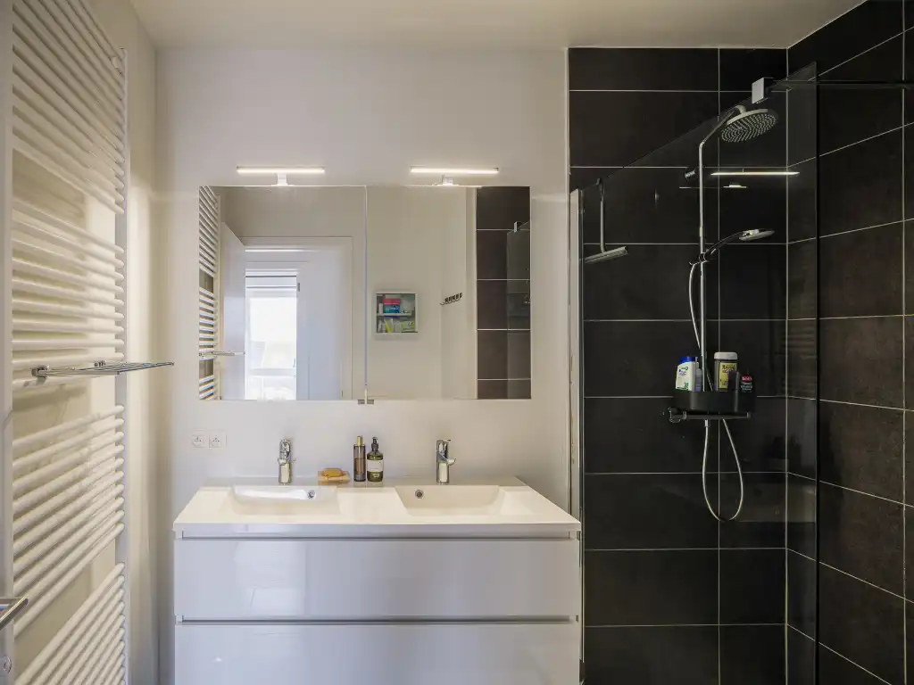 Ruim 3-slaapkamerappartement met zonnig terras in de Nieuwe Voorhaven. foto 11