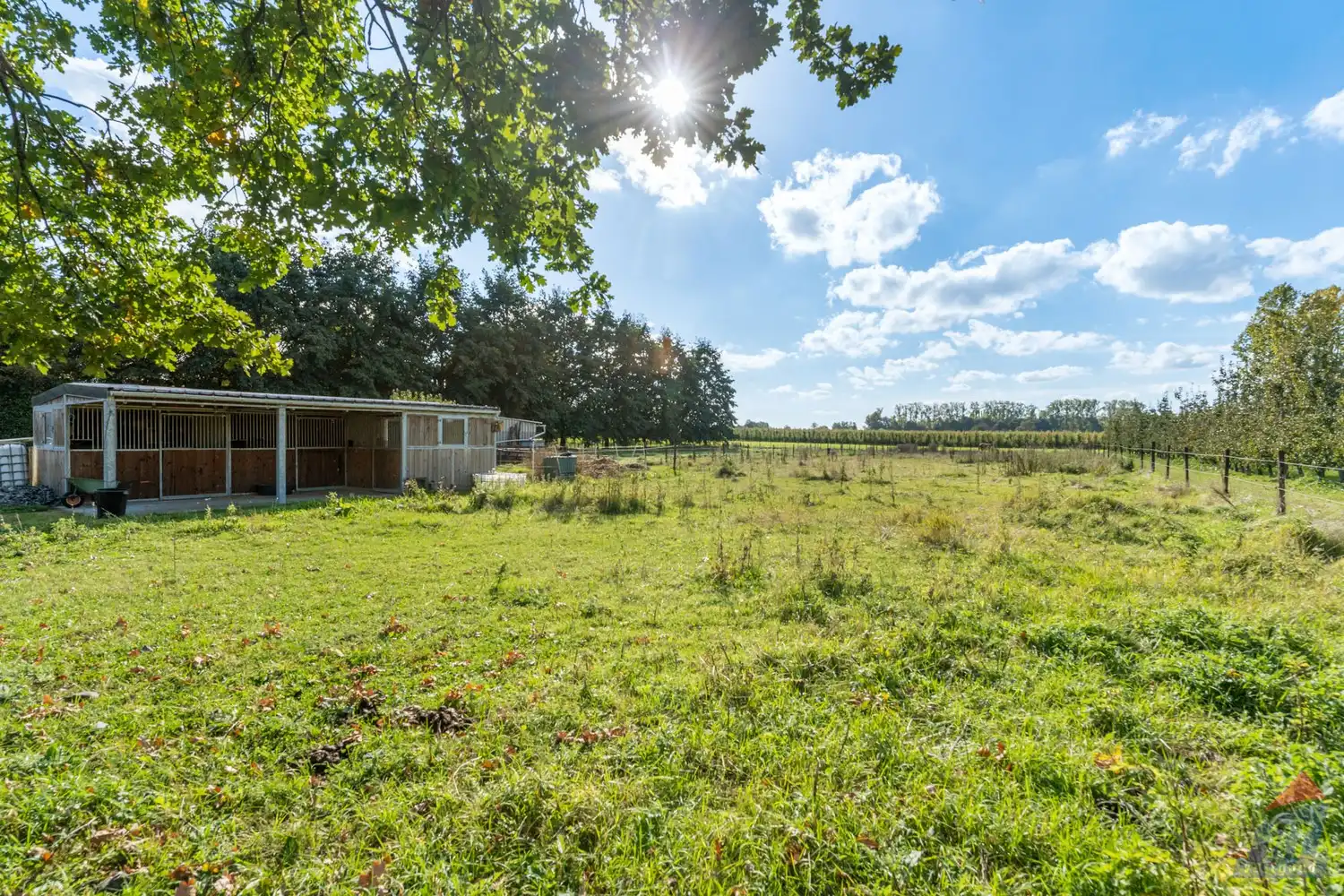 Ruime gelijkvloerse woning op een prachtig perceel van 35a 50ca met weide en stal in Alken foto 27