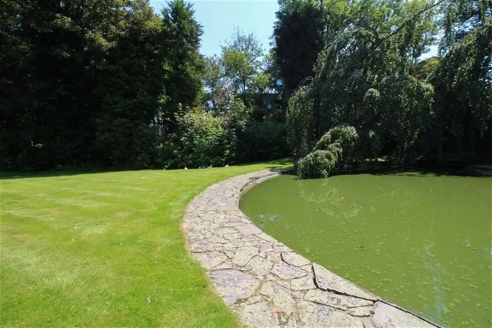 Ruim appartement met uitzicht over de Grote Markt foto 16