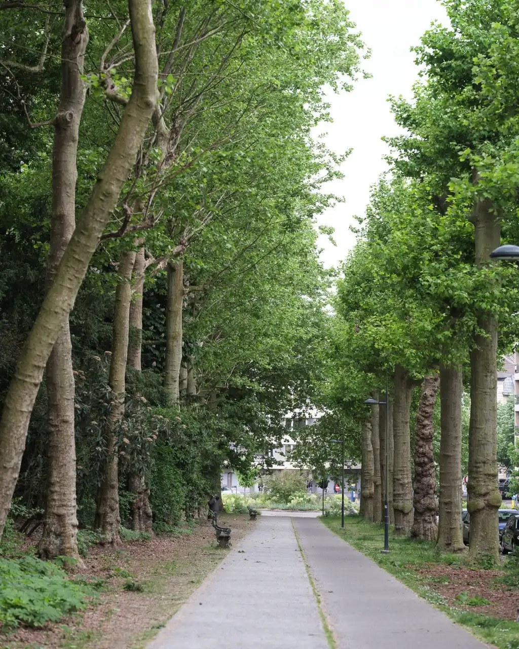 Exclusief gerenoveerd appartement met frontaal zicht op het Citadelpark foto 14
