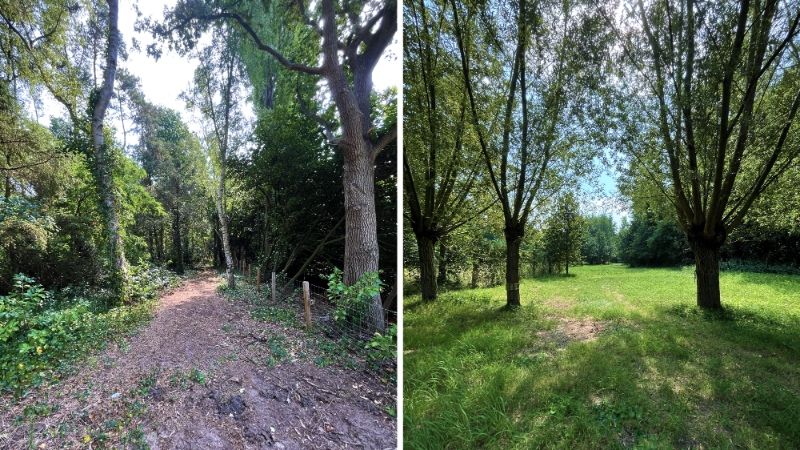 TE KOOP – Uniek stuk bouwgrond in de bossen van Lembeke – >15.000 m² foto 5