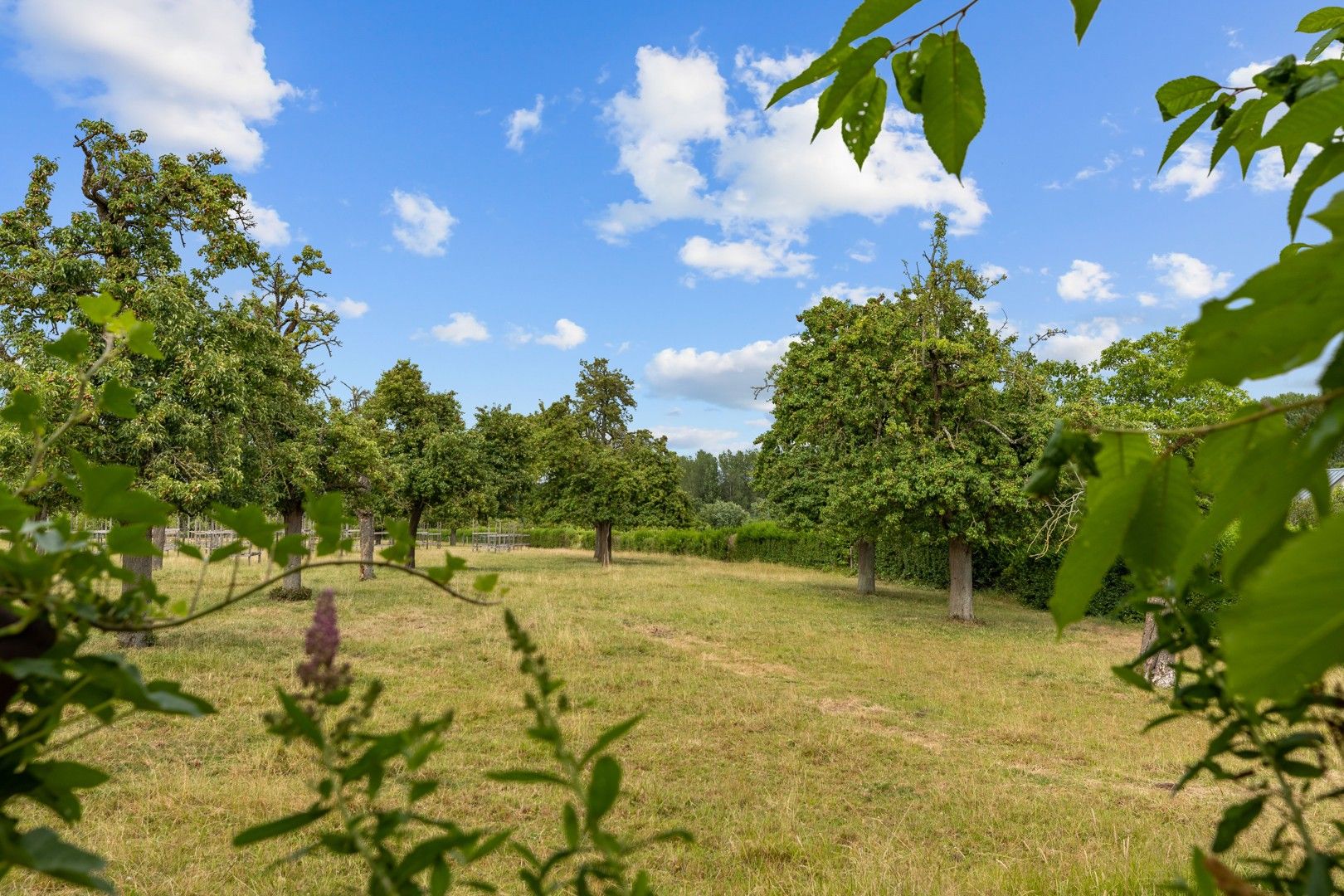 Halfopen gezinswoning in het hart van het landelijke Gontrode, met zicht op agrarisch gebied foto 18