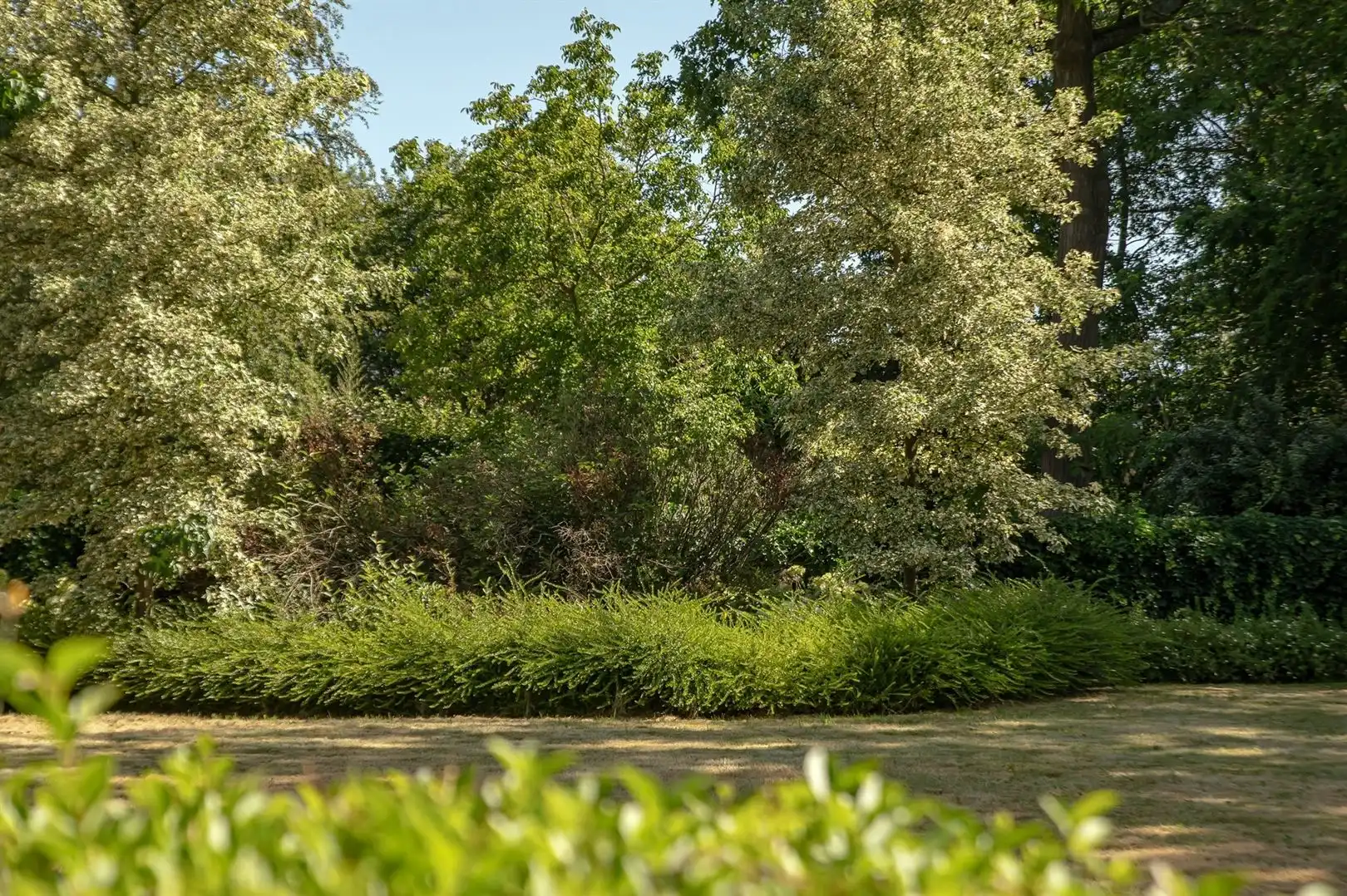 Villa in de List, Schoten – centraal gelegen en toch heerlijk rustig foto 13