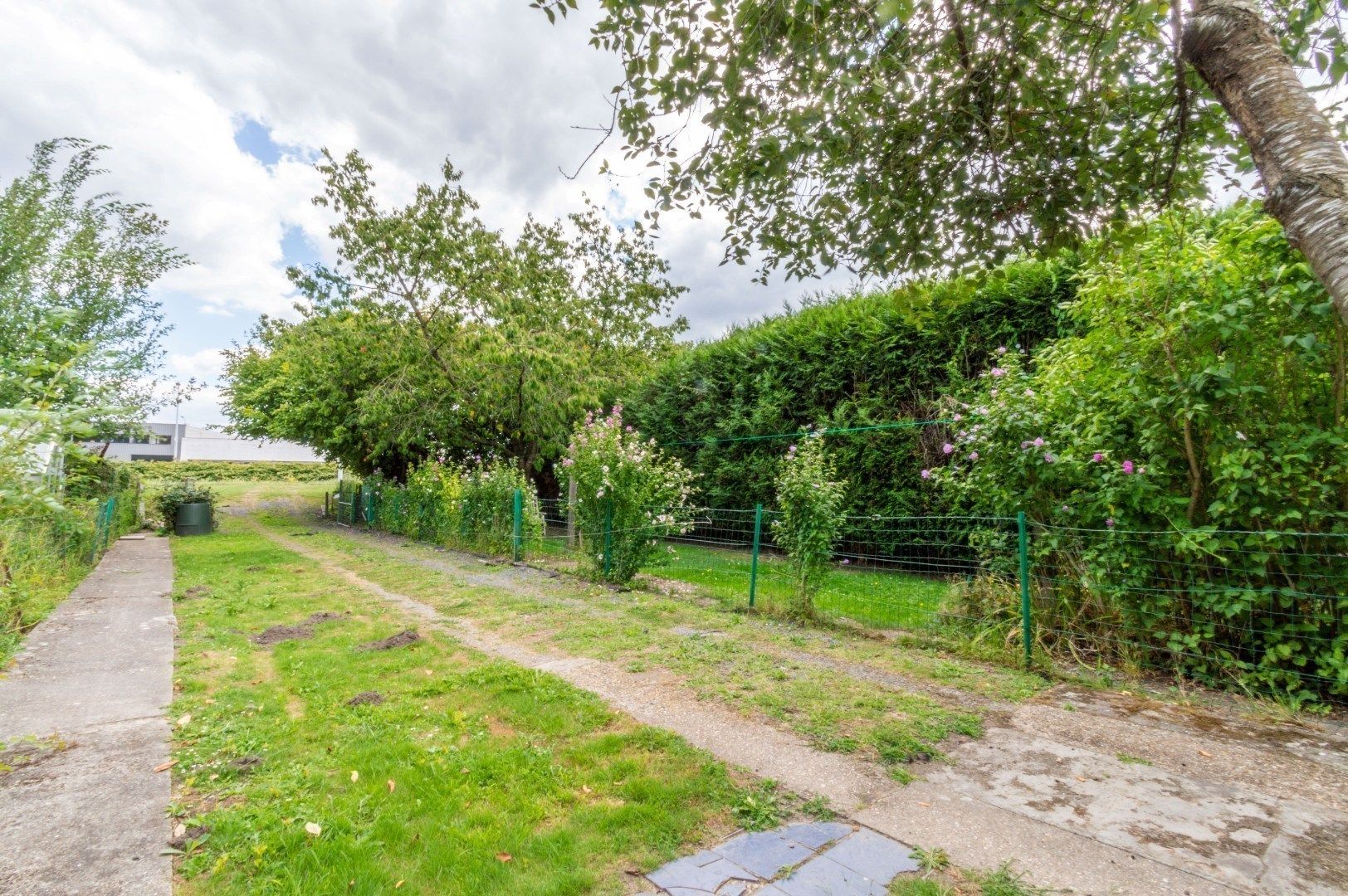 !!! BEZOEKEN: AANSTAANDE WO 21/01 16:00 - 17:00 !!! foto 5