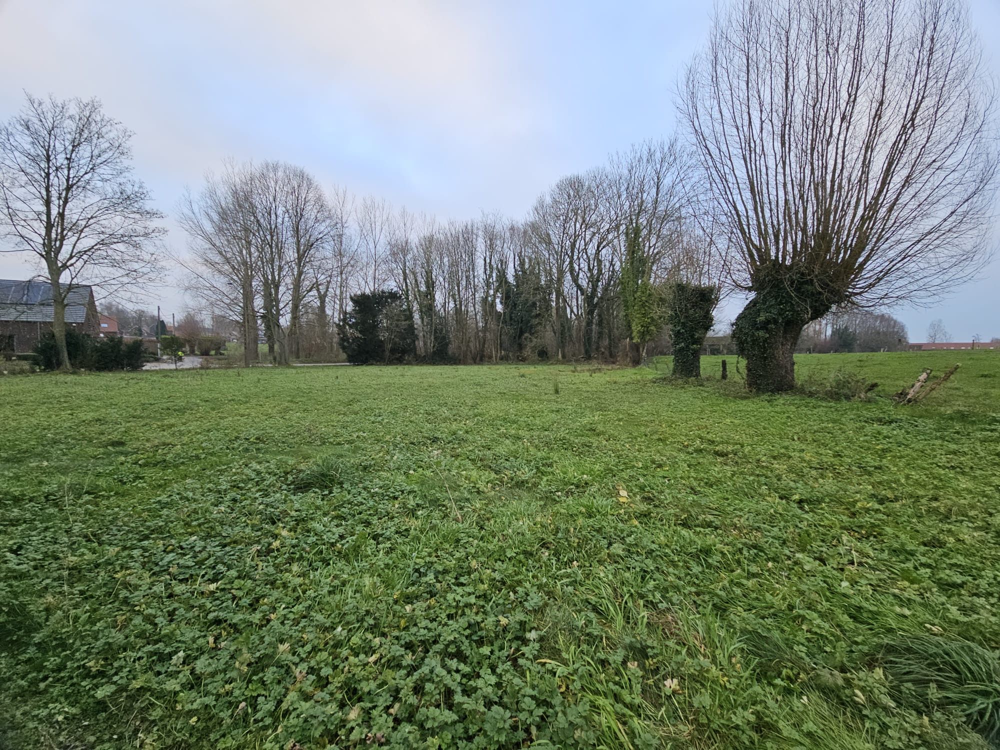 Gezellige, gerenoveerde woning op landelijke locatie foto 31