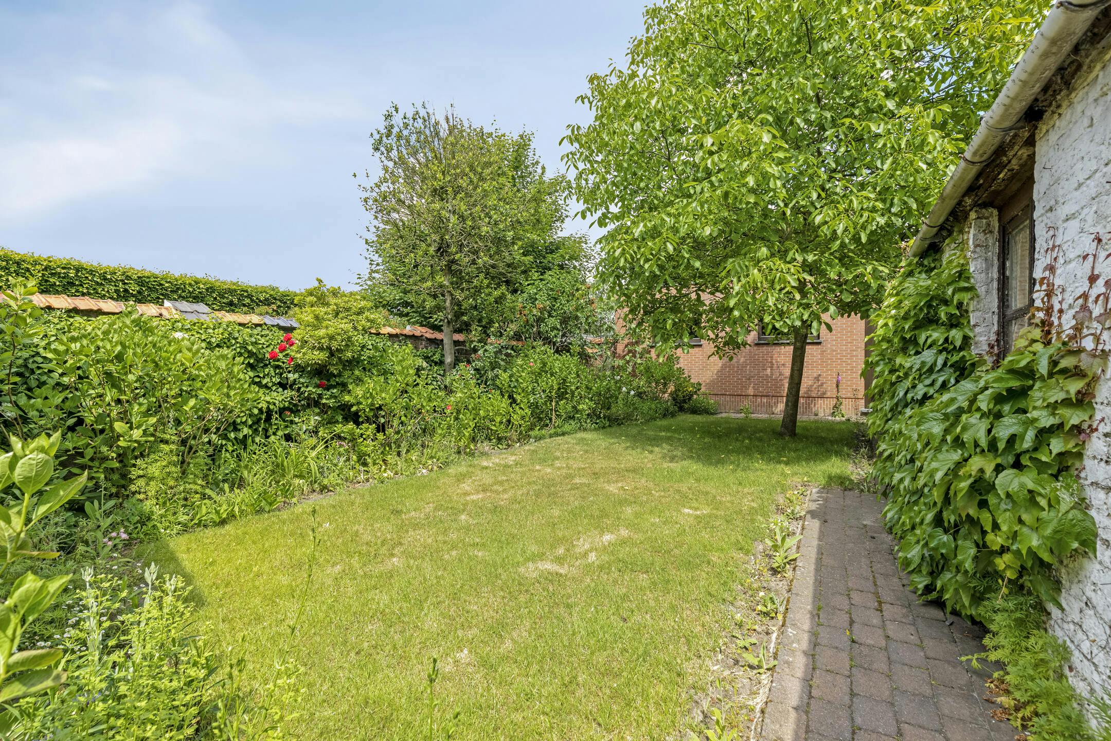 Handelshuis te koop in Gullegem foto 26