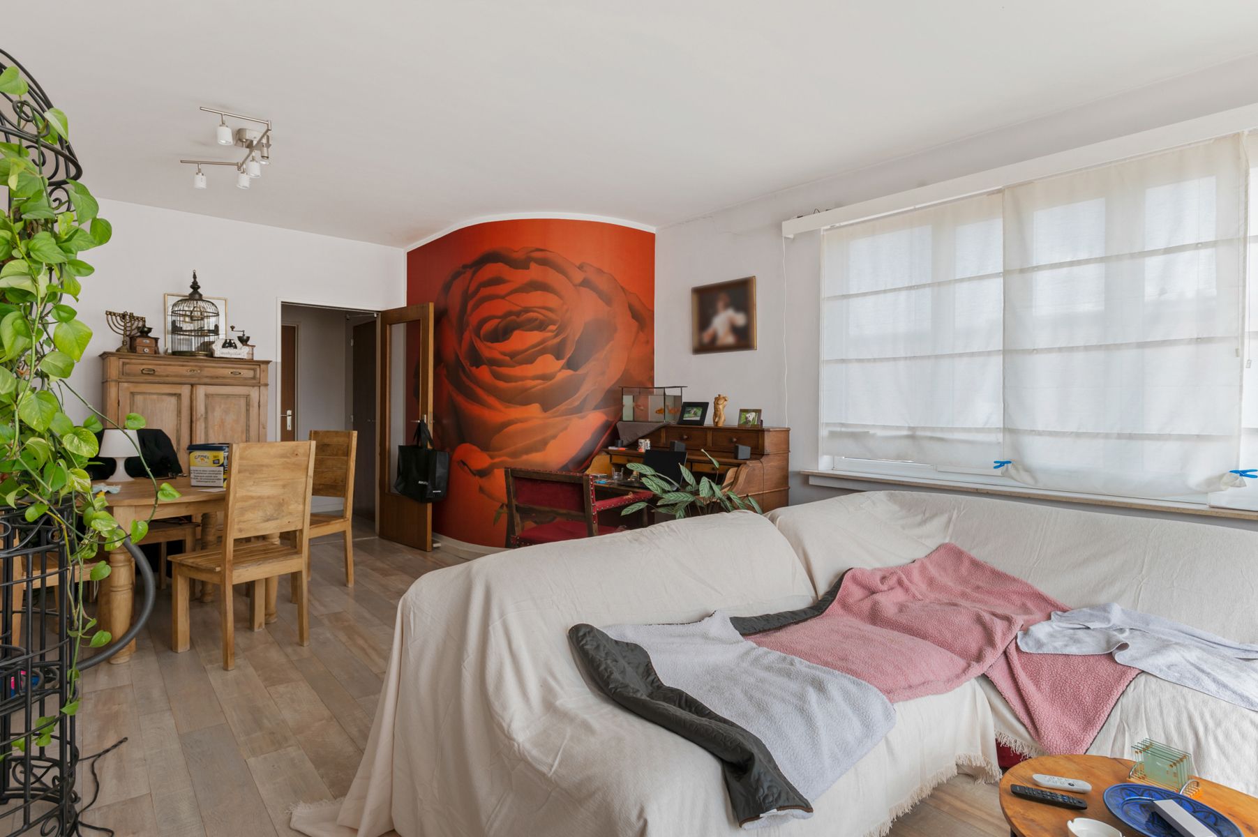 Huis te koop foto 64