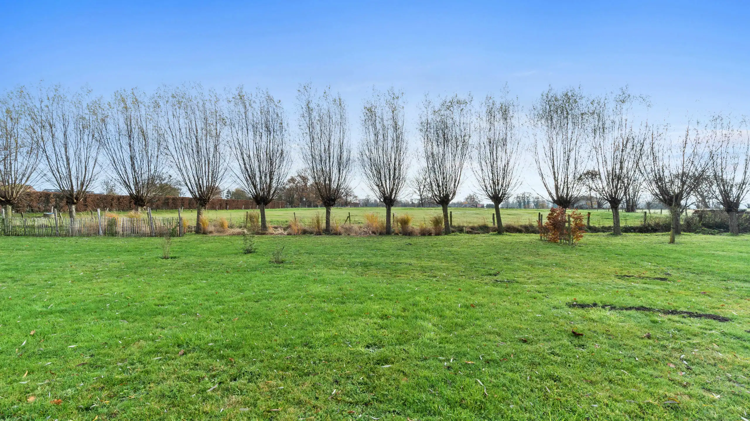 Boerderij te koop foto 12