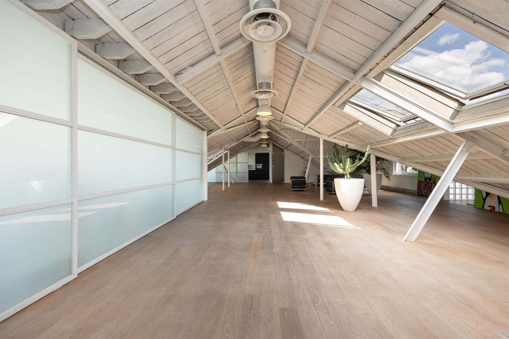 Loft met huge terras  foto 6