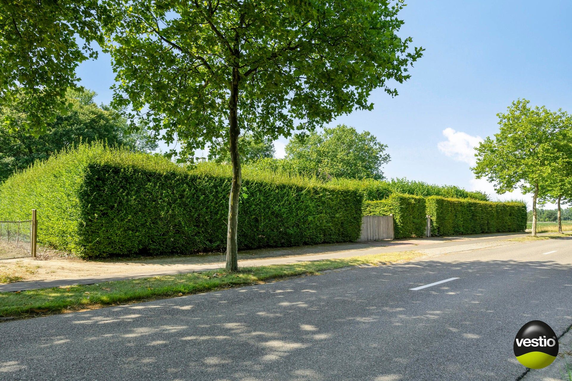 Exclusieve villa in bosrijke omgeving van Hasselt – 5.000 m² privacy en groen foto 6