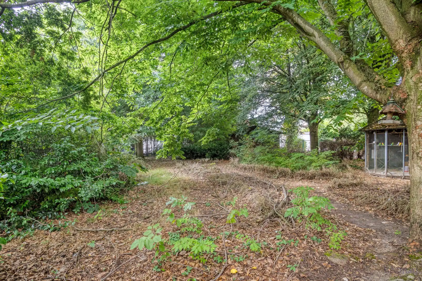 Ruime gezinswoning op perceel van 14a 16ca te koop in Tessenderlo foto 29