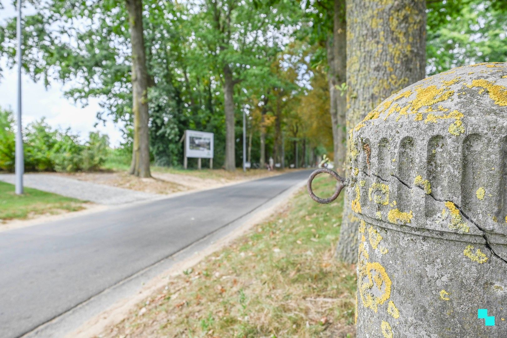 Exclusieve bouwgronden in residentiële laan te Wielsbeke foto 14