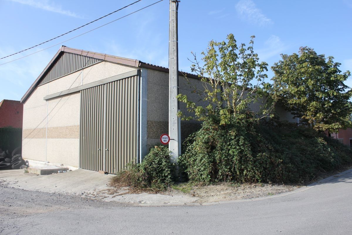 Loods en stal te koop te Moorslede op 4.200 m² met mogelijkheid aanpalende weide foto 3