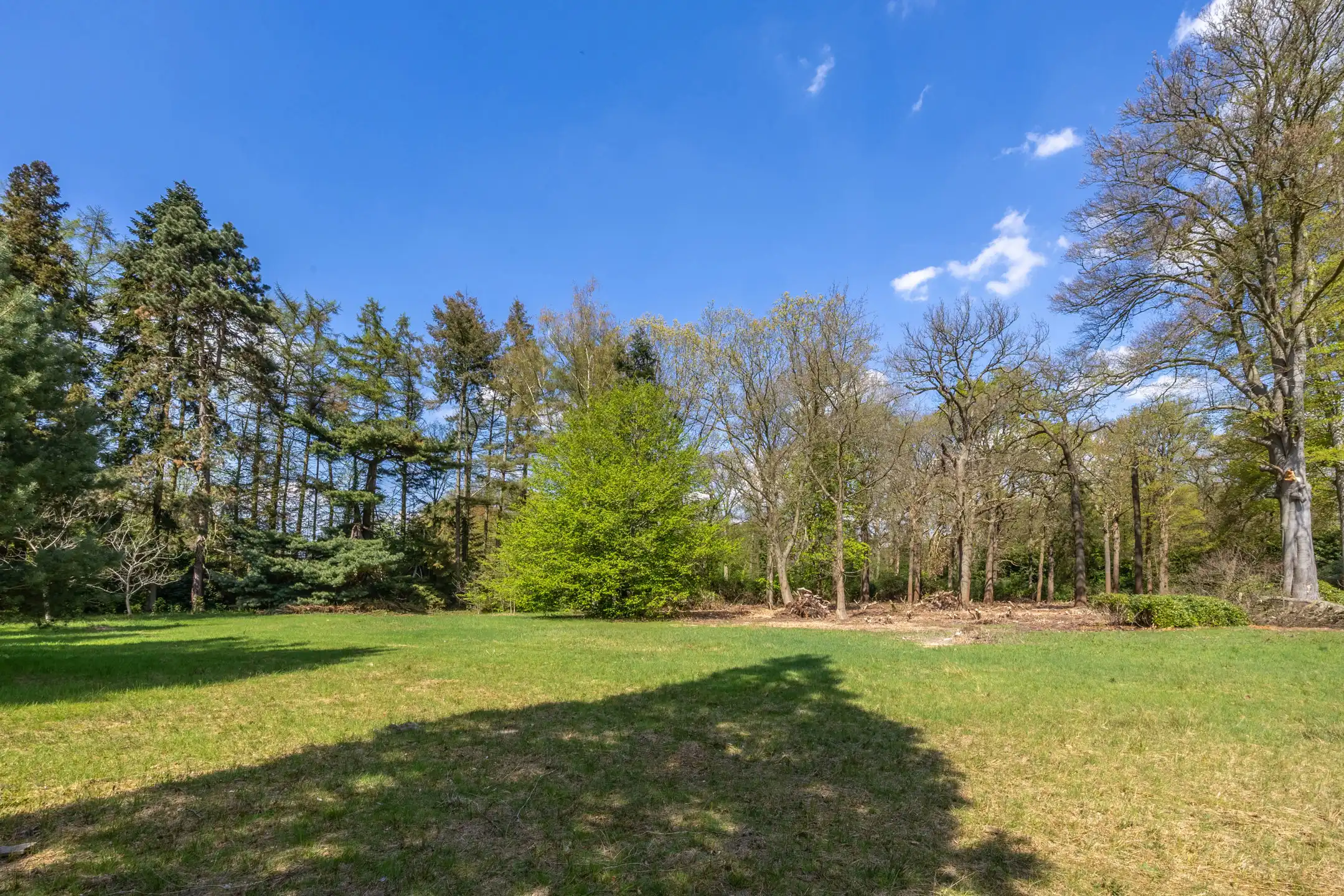 Exceptionele bouwgrond van 12.465 m² in Vriesdonk foto 17