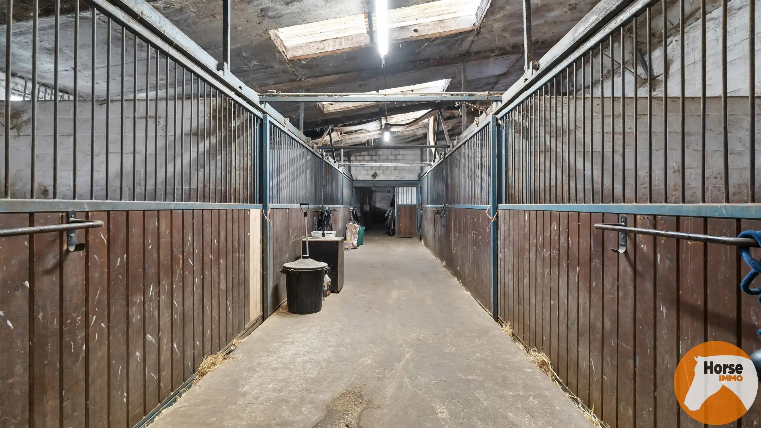 HASSELT (Kortessem) - Manege met veel potentieel! foto 9