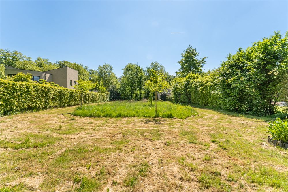 Knap perceel van 12are 80ca geschikt voor OB net buiten de grote ring van Hasselt! foto 6