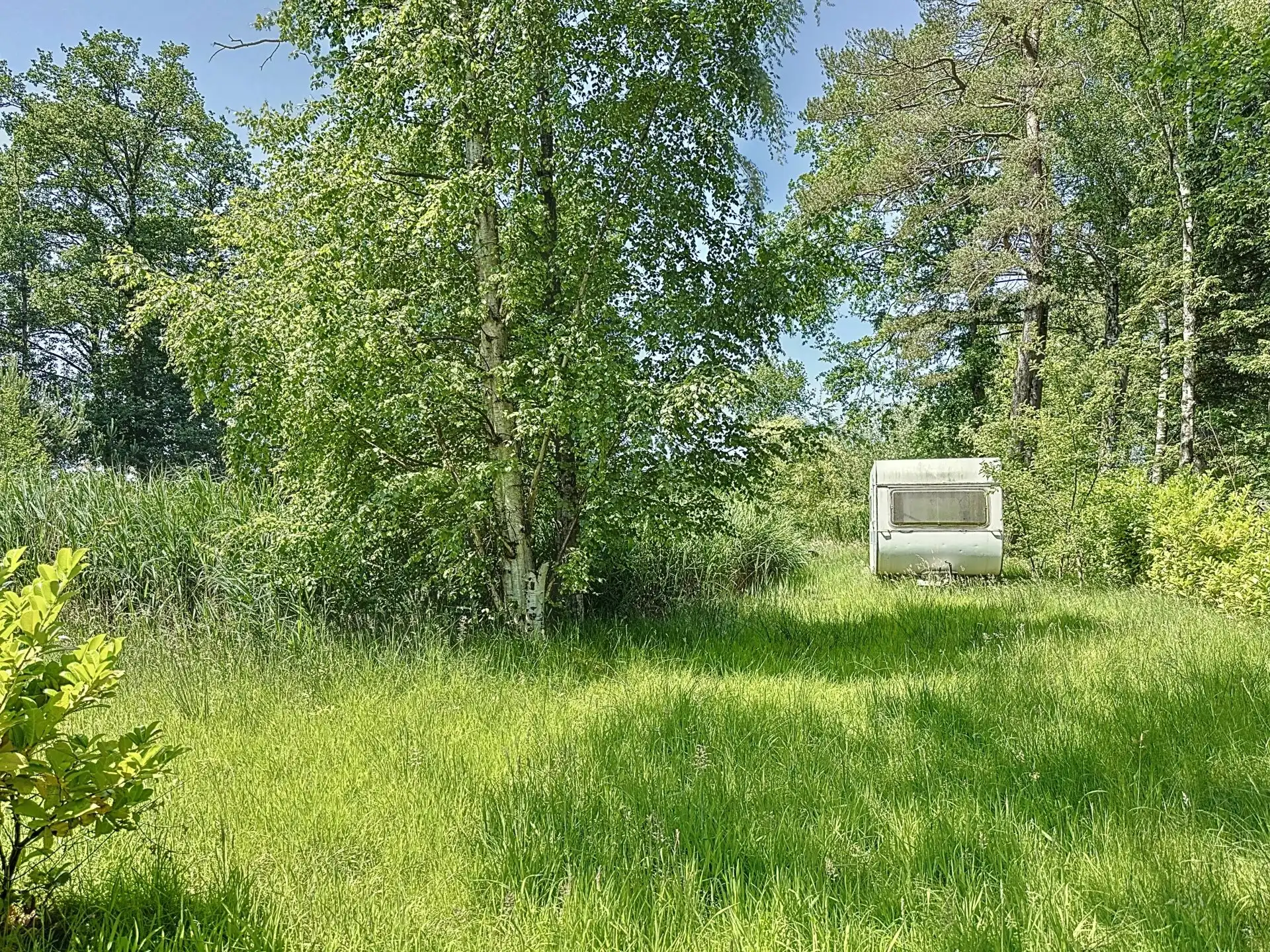 Uniek stuk recreatiegrond met vijver en bouwmogelijkheid – 2154 m². foto 3