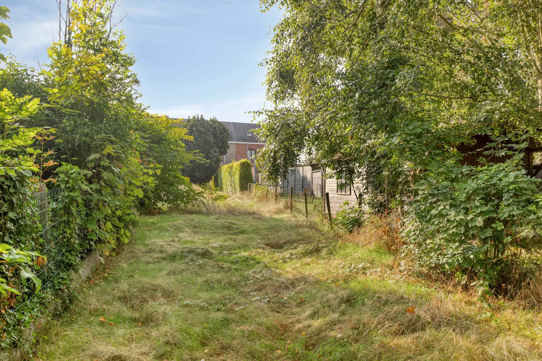 Te renoveren rijwoning met ruim perceel van 445 m²  foto 17