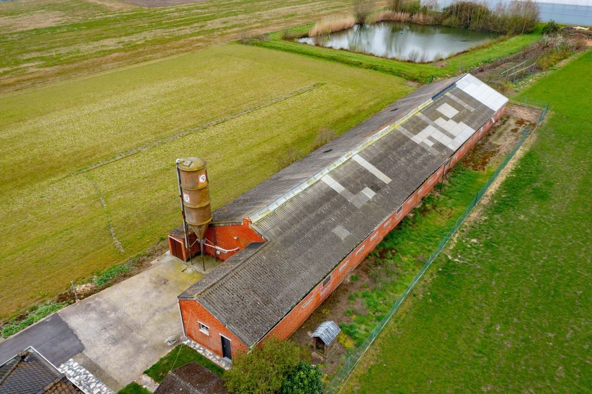 Woning en bijgebouw met grond te koop te Meulebeke foto 4