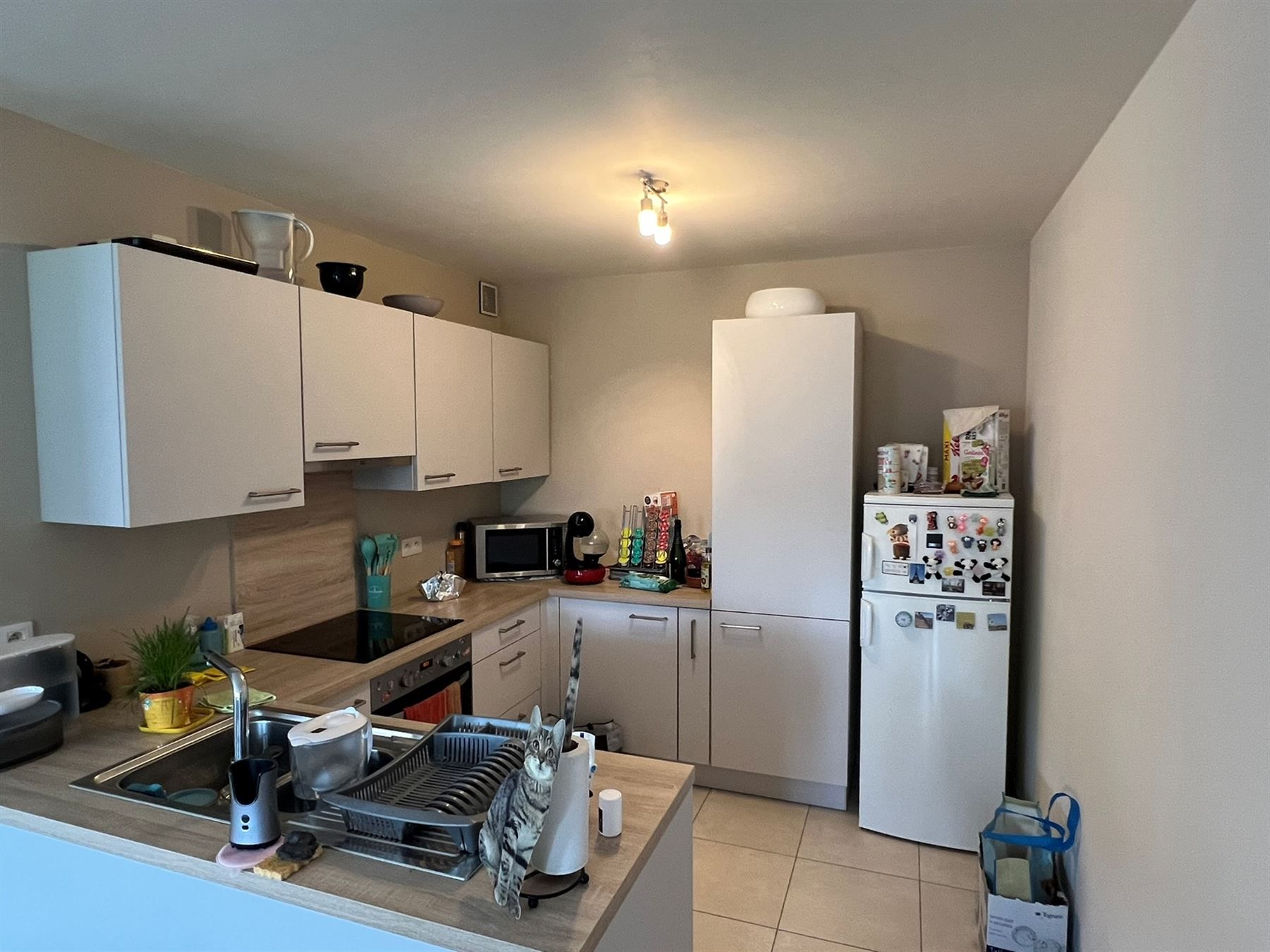 Instapklaar en energiezuinig appartement met 2 slaapkamers, terras en parking foto 3
