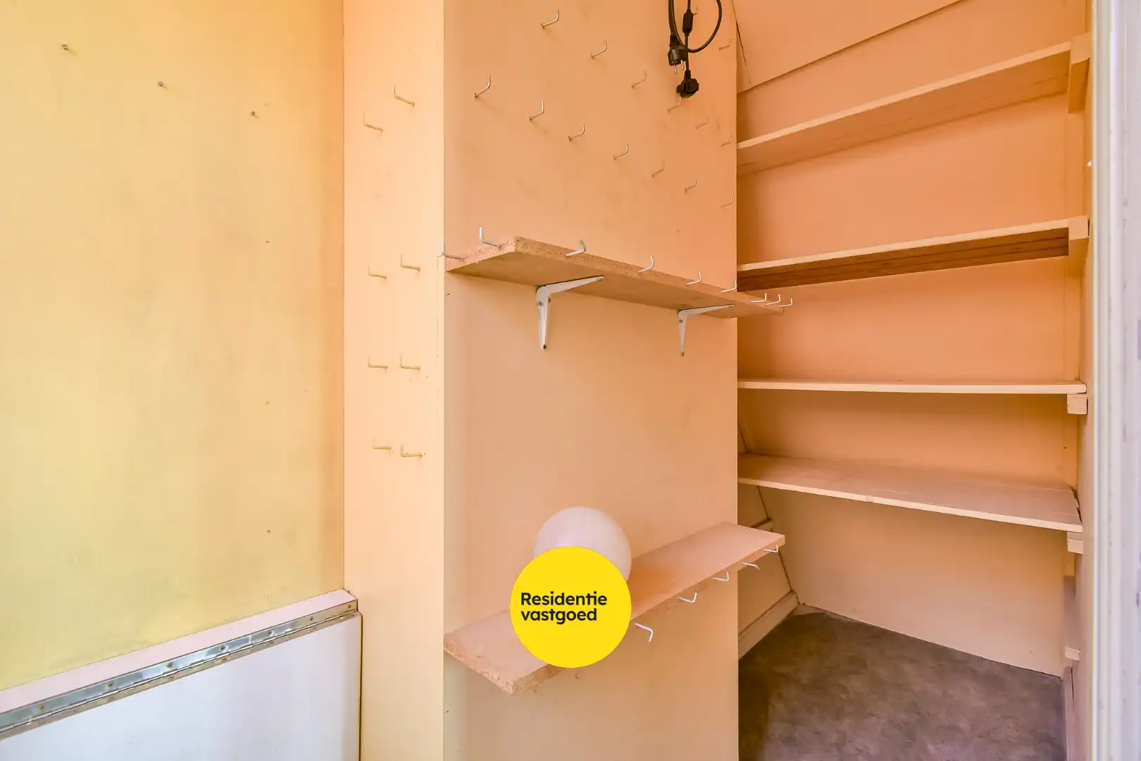 KIJKDAG zaterdag 9/05 van 10u tot 12u, op afspraak! foto 15