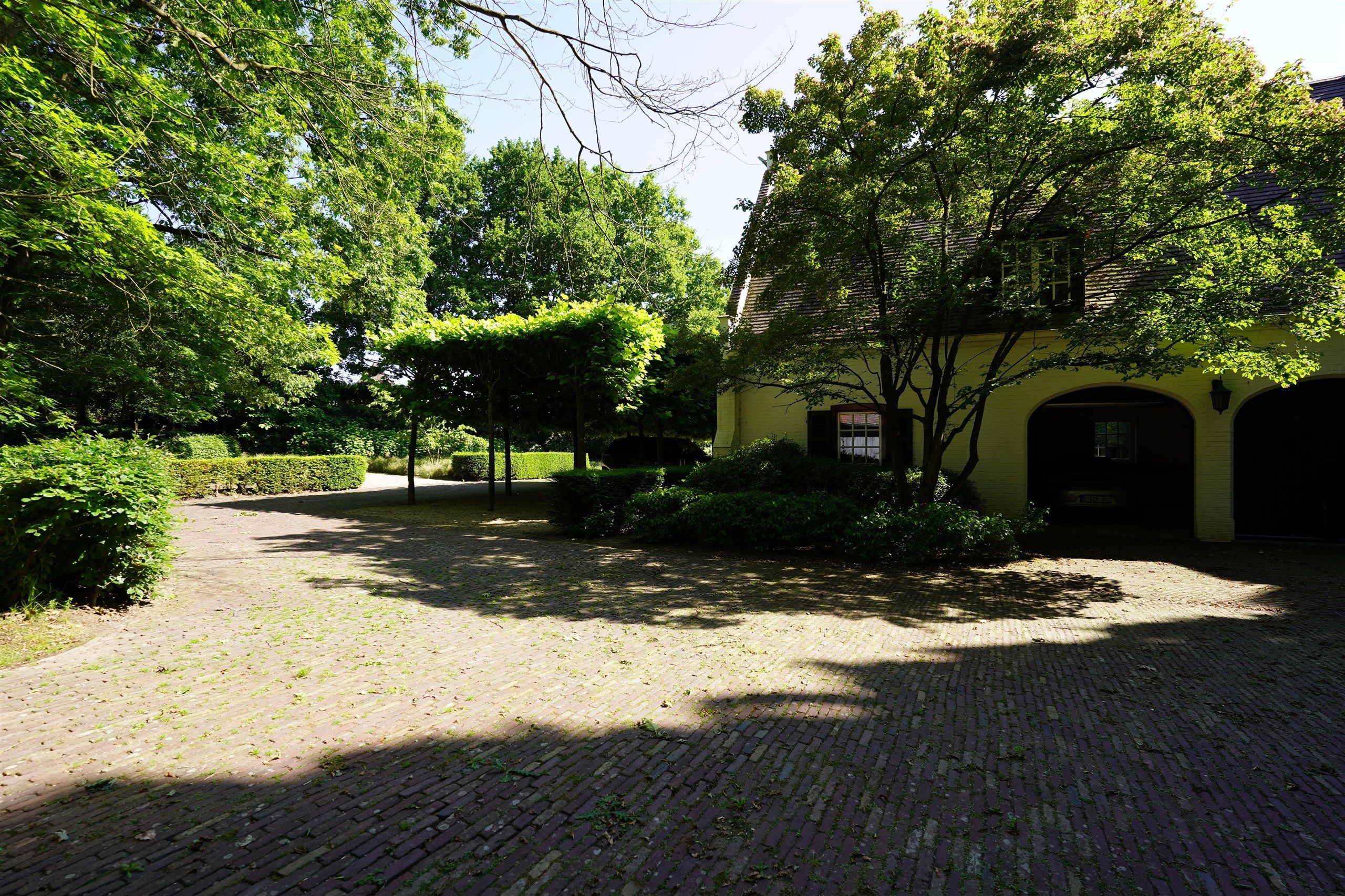 Bellegem bos: uitzonderlijk, waardevol landgoed! foto 33