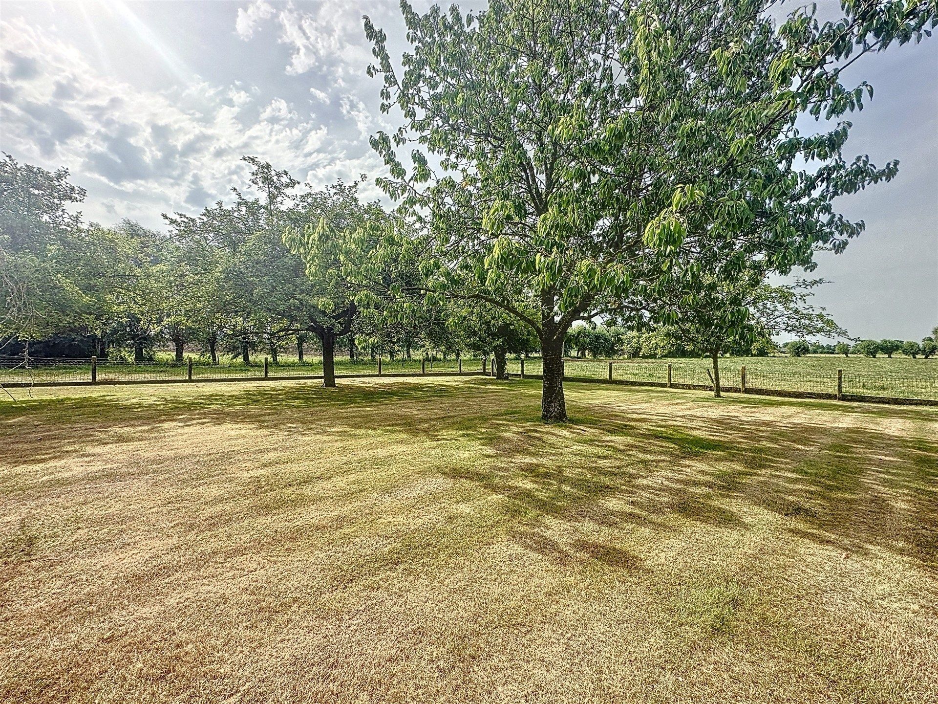 Open bebouwing met 4 slaapkamers op perceel van 2.062m²! foto 4