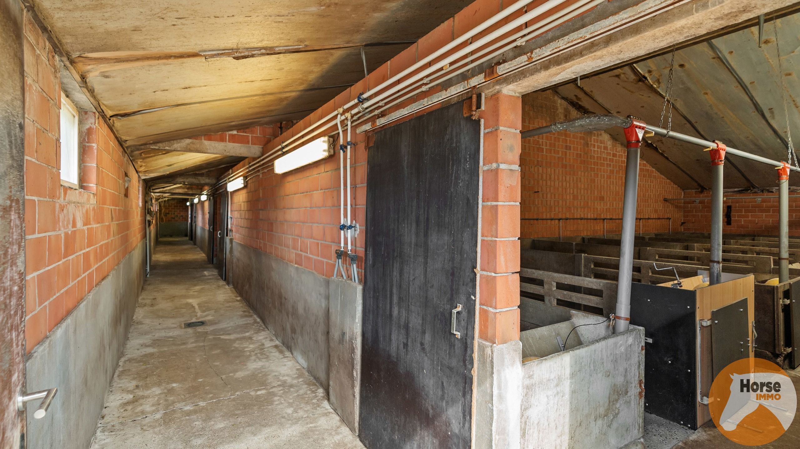 SCHAFFEN - Landbouwwoning op +/- 6,7 ha en paardenstalling foto 12