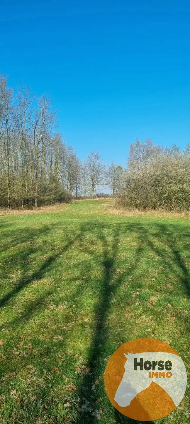 DIEPENBEEK - Unieke woning op +/- 52a foto 31