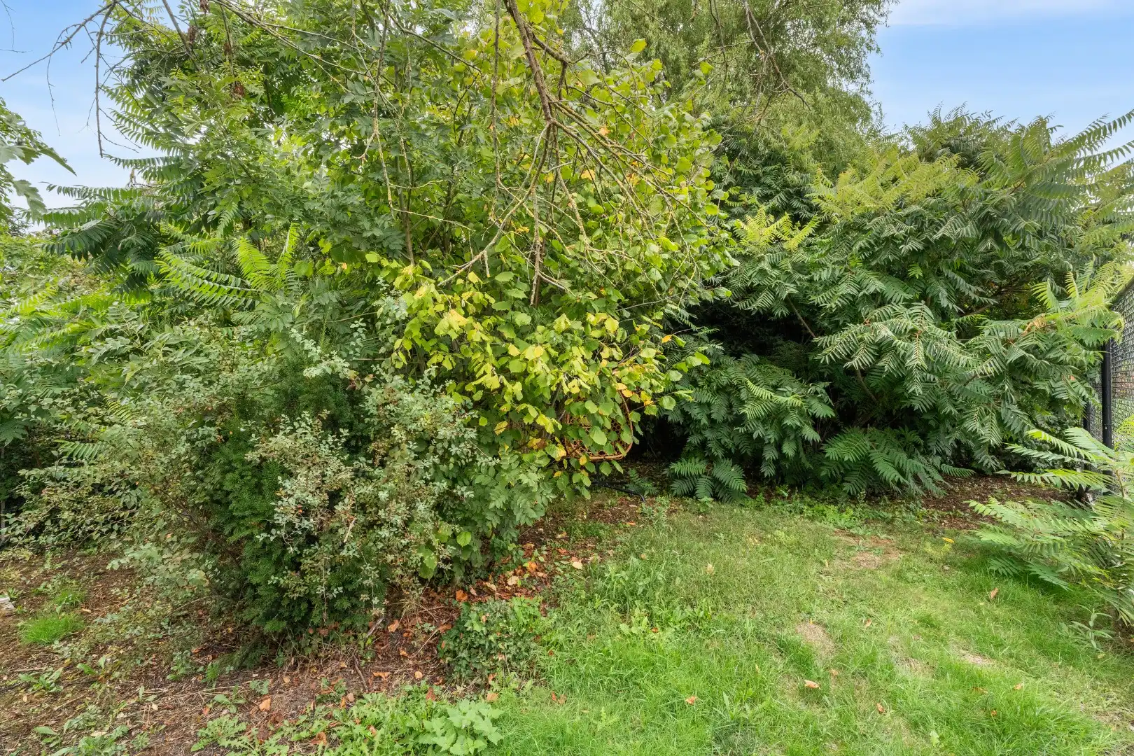 Te renoveren woning met ruime tuin nabij het centrum van Zomergem foto 22