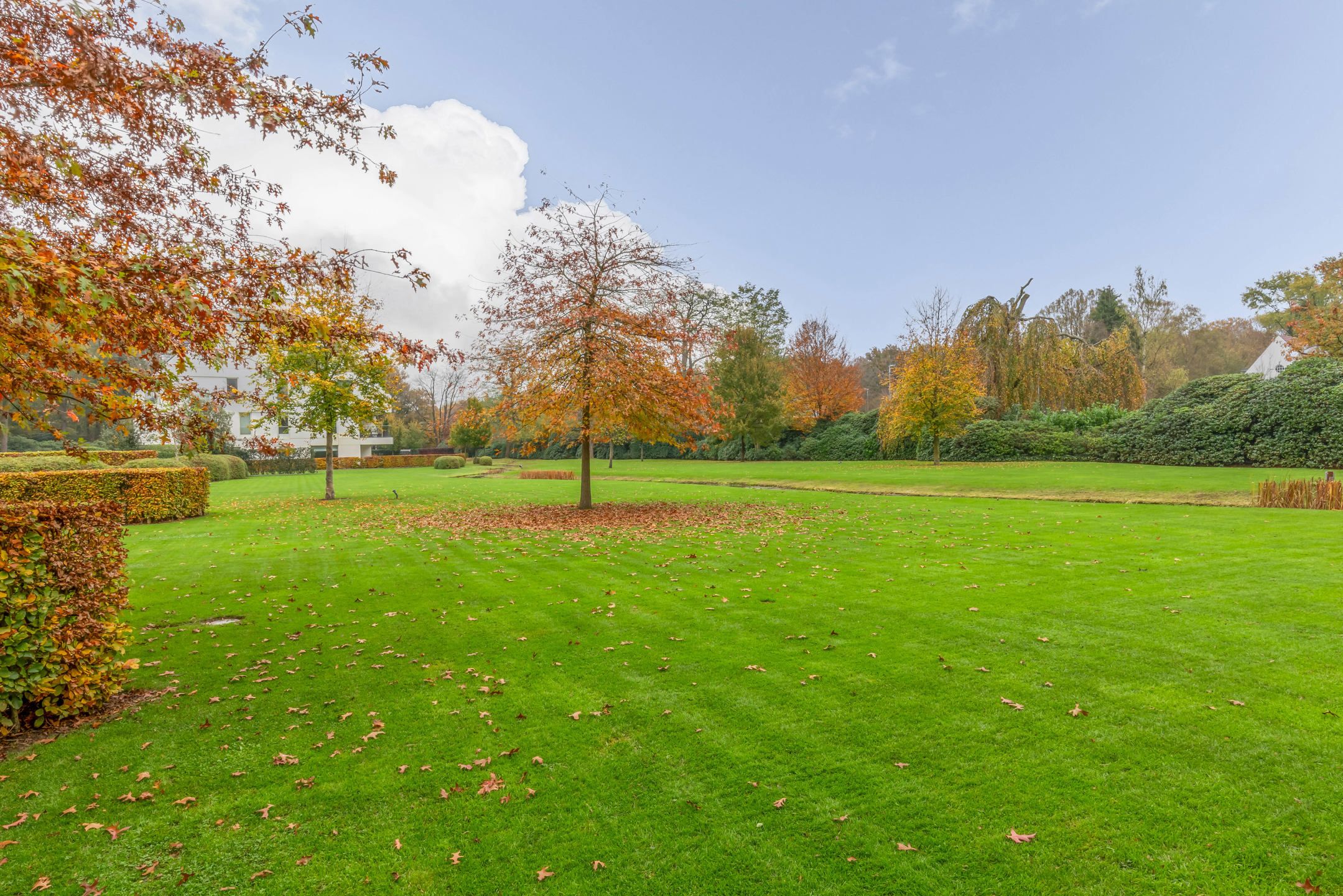 Stijlvolle hoekapp. met panoramische uitzicht in Berckendael foto 44