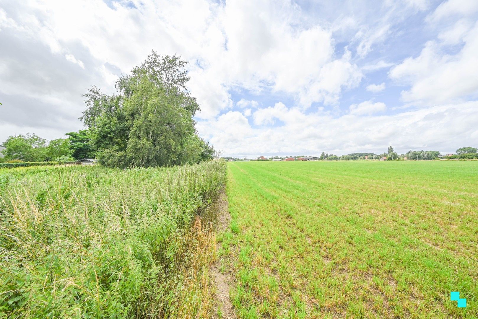 Royaal perceel gelegen in landelijk Oostrozebeke foto 5