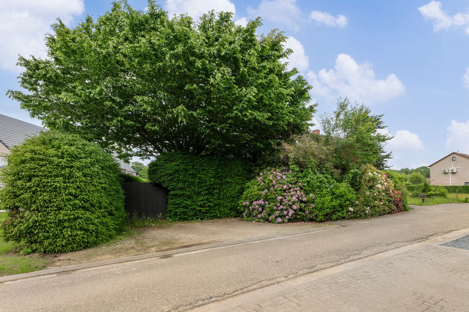 Te renoveren gezinswoning met bijgebouw (woonst) of projectgrond foto 41