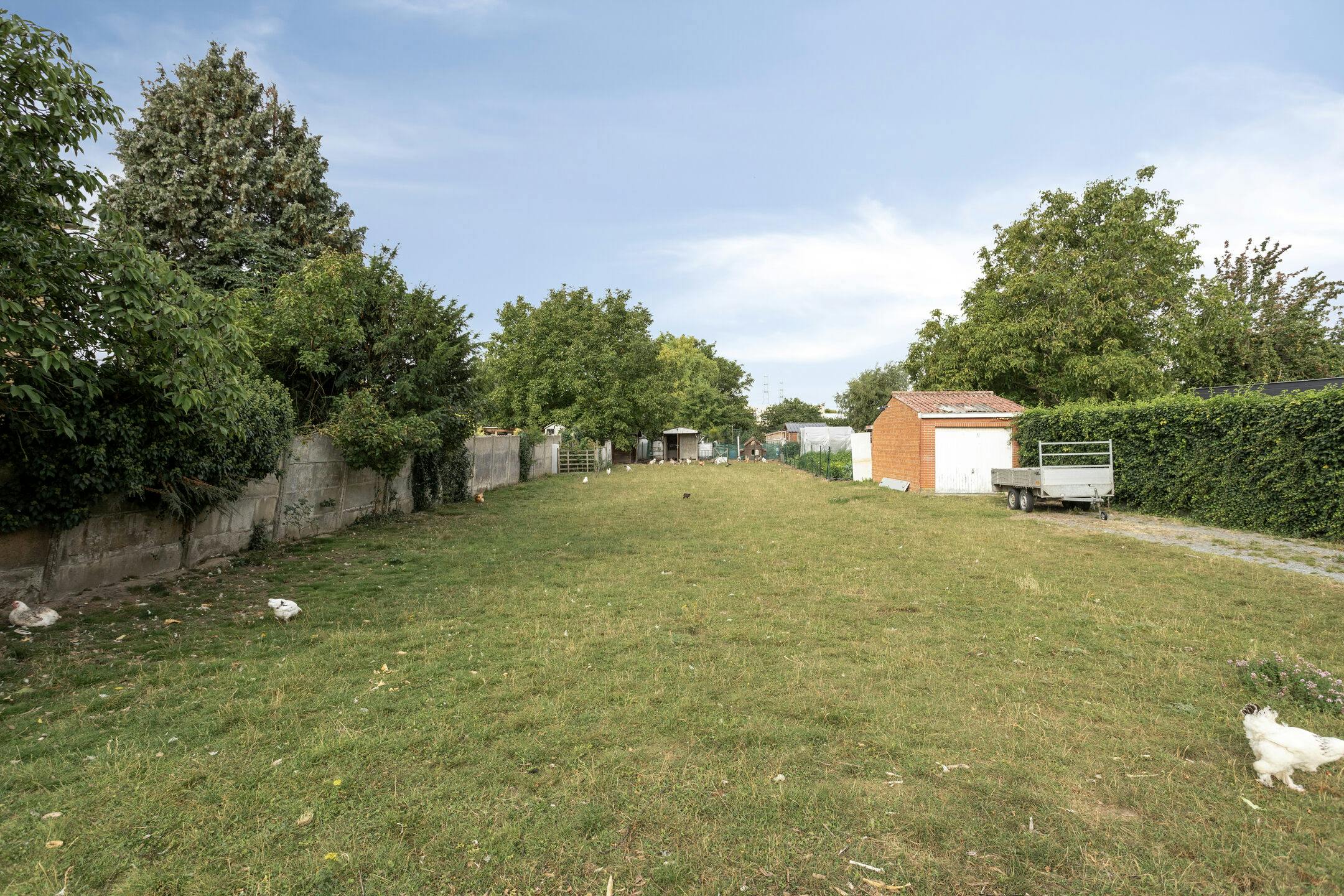 Prachtige bouwgrond op 9a42 te Peutie ! foto 4