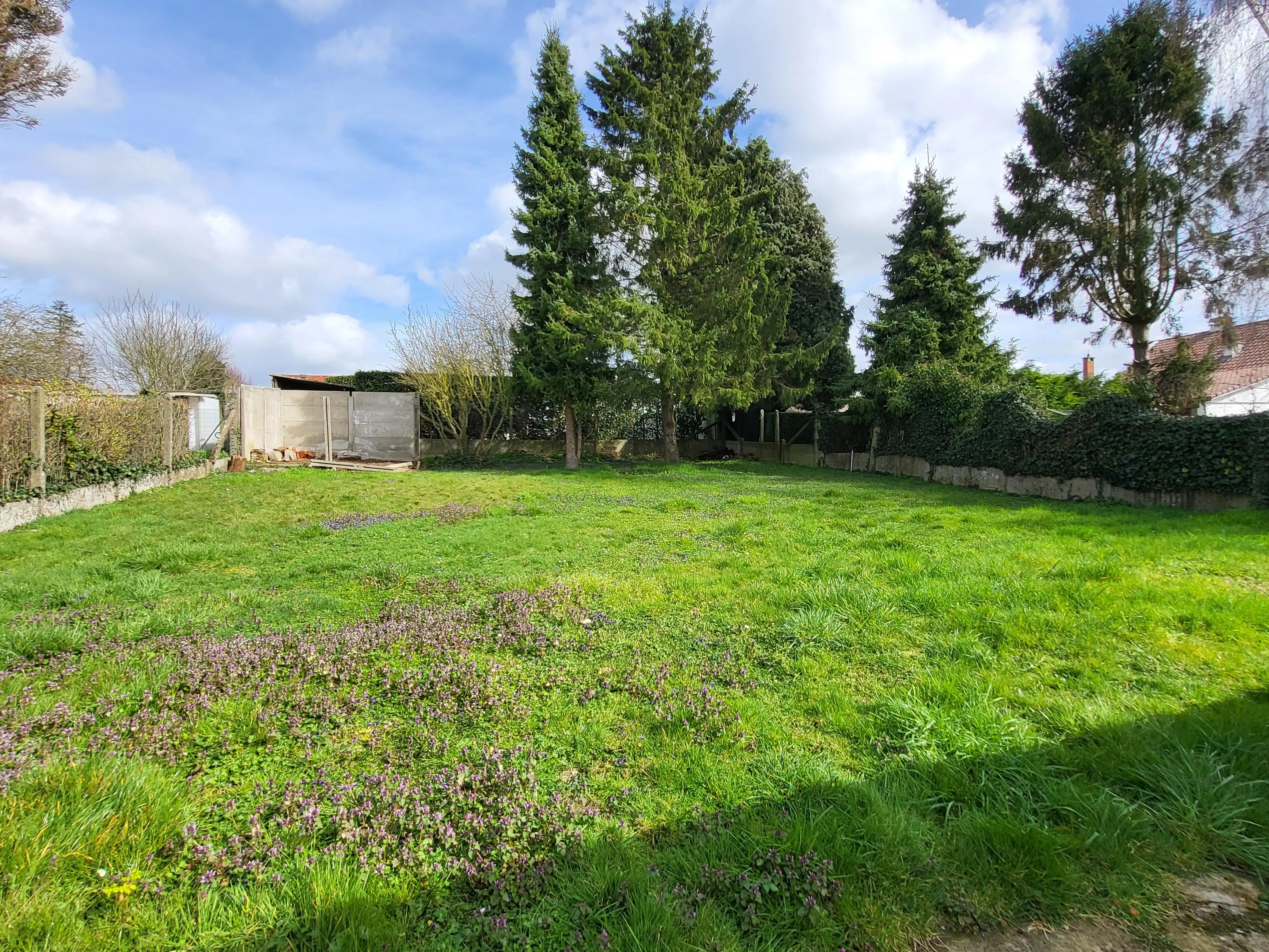 Te renoveren woning met veel charme en ruime tuin op 671 m².  foto 2