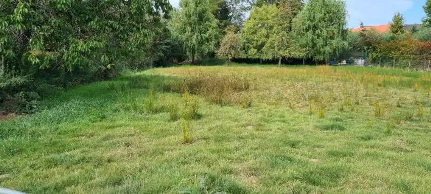 Mooi BOUWPERCEEL op 16 are 48 ca, straatbreedte 25 meter foto 2