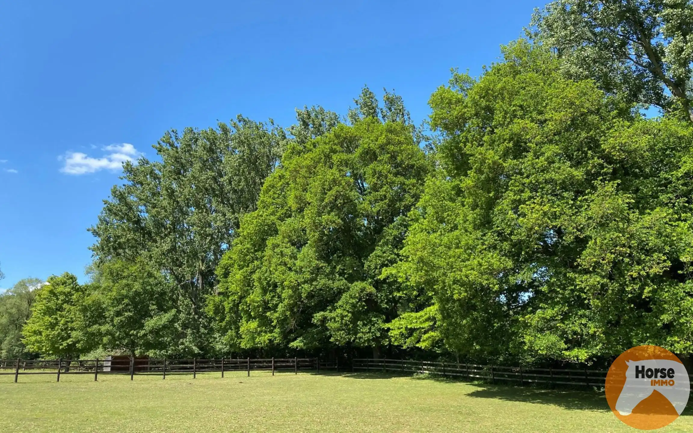 HALLE – Charmante woning met stallen op 1,15ha aan Hallerbos foto 10
