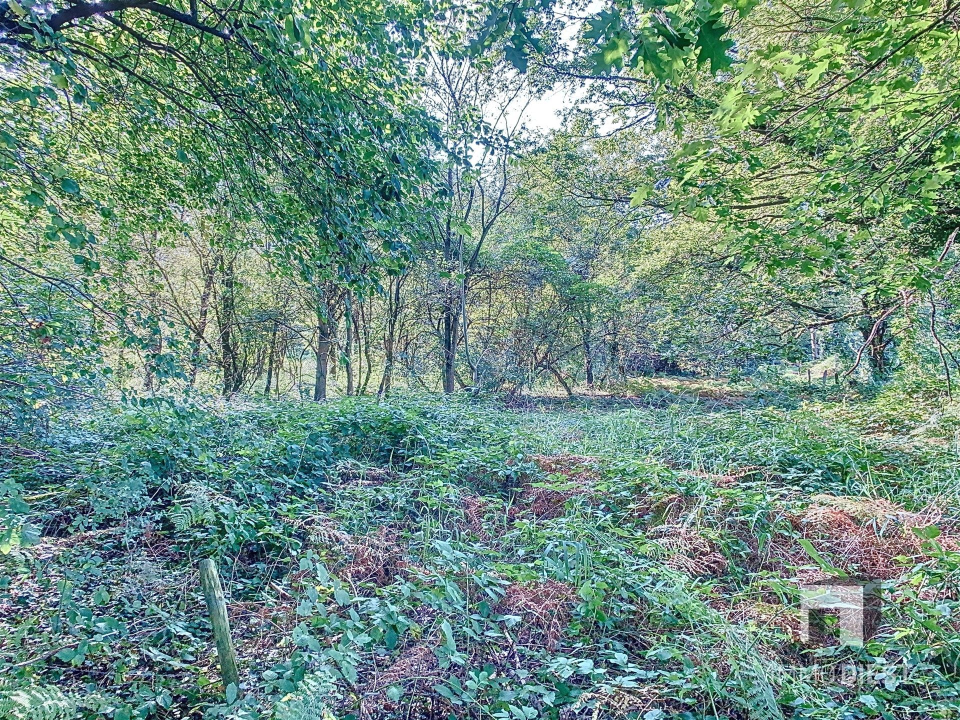 Grond met een oppervlakte van 79a 45ca - natuurgebied foto 7